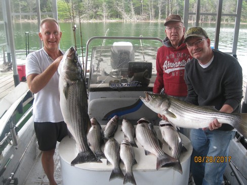 Nice Striped Bass